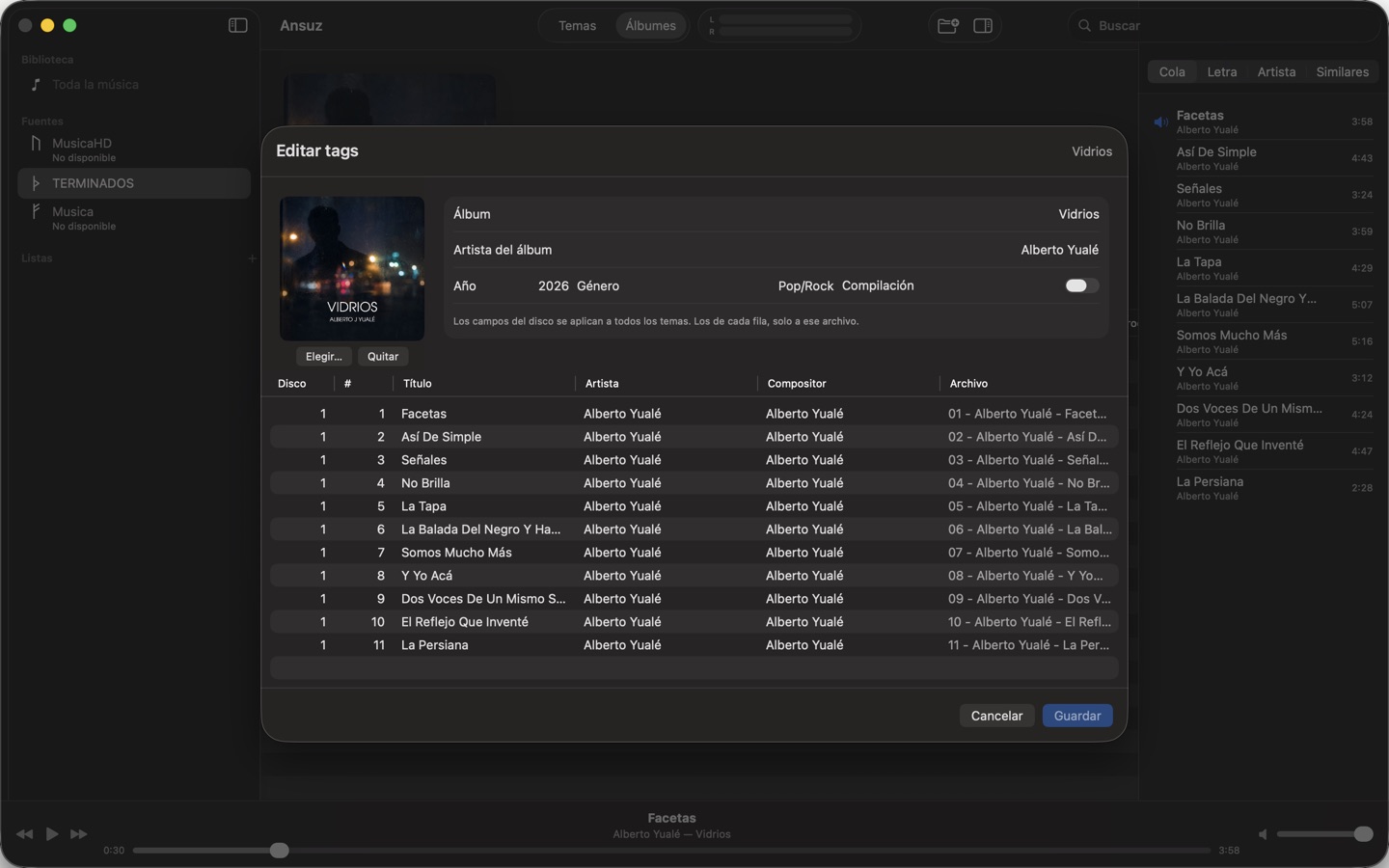 The optional tag editor: album fields on top, one row per track below.